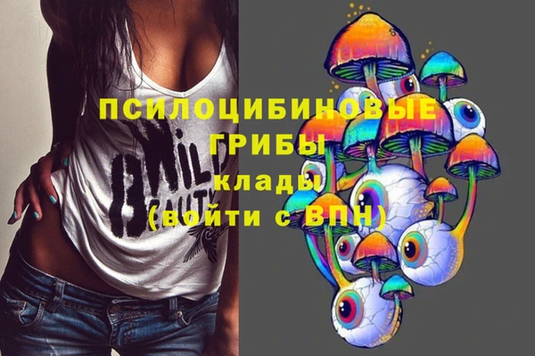 гидропоника Балабаново