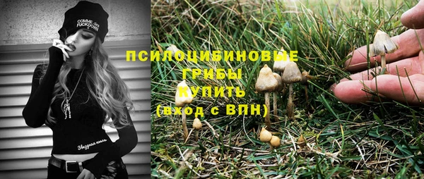 прущие крисы Баксан